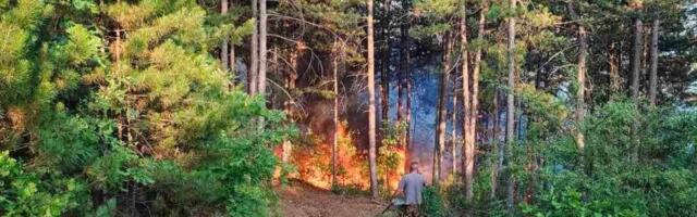 Vranje: Uvedene stroge mere zaštite od požara zbog visokih temperatura