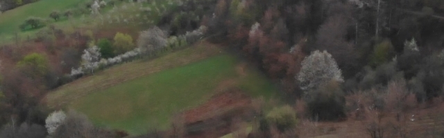 Evo po čemu je planina Jelica dobila ime