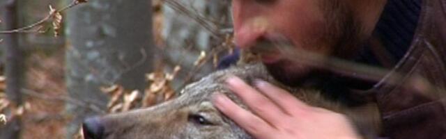 2008, SUROVA ZIMA, PLANINA... VUČICA U STOPU PRATI IGUMANA KOVILJA: Priču o njenoj i sudbini monaha narod pamti i dan-danas, nije se odvajala od božjeg čoveka