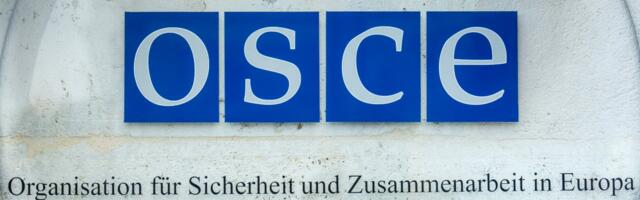 OEBS o odluci CIK-a: Osuđujemo akcije koje potkopavaju pravo Srpske liste na učešće na izborima