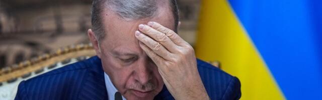 Erdogan želi mir