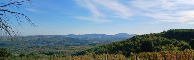 Možda i ne bi bila poznata ova šumadijska varošica, da joj nije vašara i još po nečega