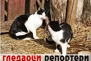Гледаоци репортери (10. фебруар 2023)