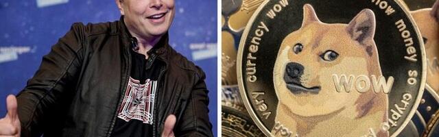 Elon Musk kaže da će Dogecoin biti “zemaljska valuta”