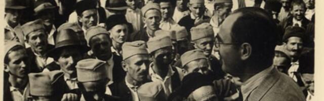 D. Jovanović: ideolog, utopista ili subverzivni element?