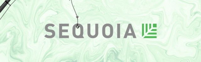 Jedan od najuspešnijih VC fondova žrtva phishing napada, hakeri pristupili poverljivim podacima