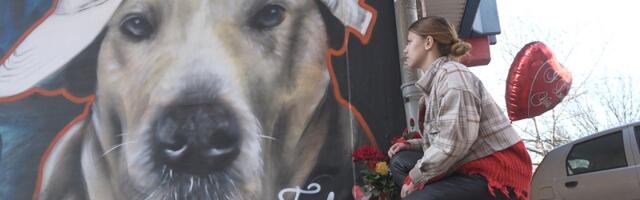 Драматична исповест власнице пса који је расплакао и ујединио Ужичане