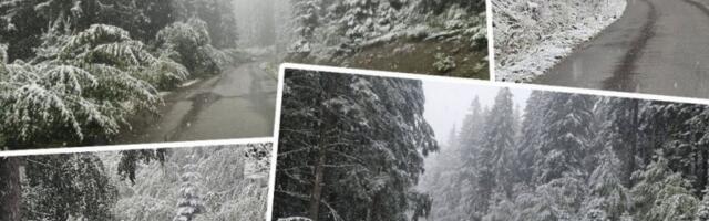 SNEG PARALISAO SRBIJU! Hiljade ljudi bez struje, vozači zarobljeni, planine u mraku - OBOREN REKORD STAR 90 GODINA!