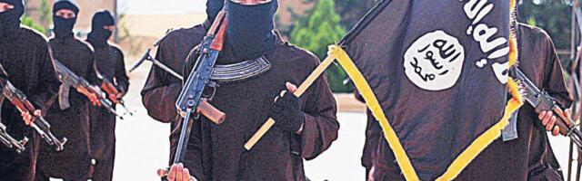 KLANICA NA ISTOKU AFRIČKE DRŽAVE: Pobunjenici lojalni ISIS-u masakrirali 20 ljudi u jednom selu! Izvršena su zastrašujuća ZVERSTVA! (VIDEO)