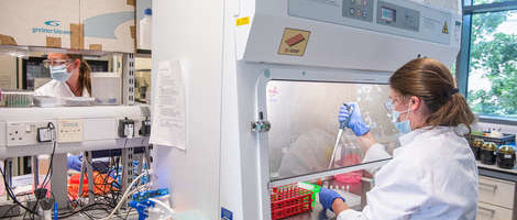 Oksfordska vakcina: Kako su je napravili tako brzo...