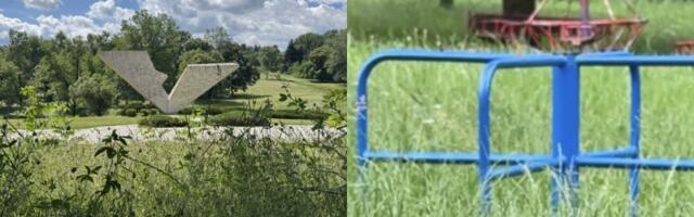 Trava progutala Šumarice, zarastao i park u Ilinoj vodi (FOTO/VIDEO)