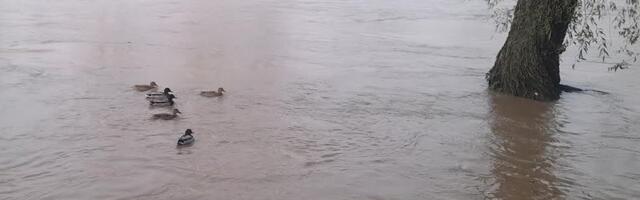 VREME DANAS OBLAČNO I HLADNO