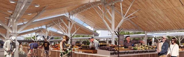 Pijaca > Potrebe Beograđana