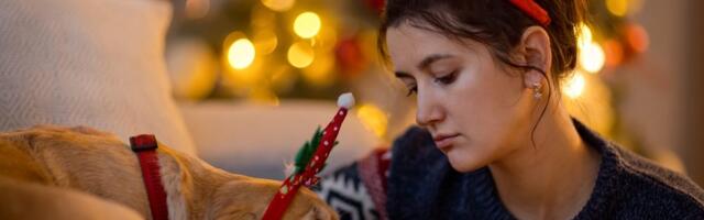 Veterinarka otkriva 6 jasnih znakova zimske depresije kod pasa – evo kako da pomognete svom ljubimcu