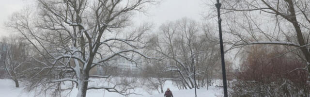 Русија: просечна температура ће порасти за 2,5 степена током 50 година