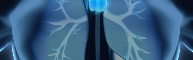 Ovaj "zaboravljeni organ" štiti vas ceo život: Ako je on zdrav, srce i pluća su bezbedni, evo šta ga uništava