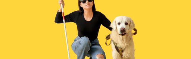 Prvi pas vodič otkriven u Pompeji, u Srbiji predstavljen 2015. godine: Kako danas žive pomoćnici slepih osoba