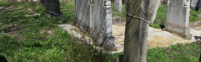 Bolje prvi u selu nego drugi u gradu: Dragomir je uspeo da ponese MILIONE "na onaj svet" (FOTO)