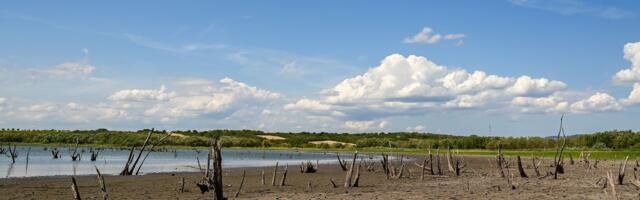  U Americi ključa, Atina zatvorila Akropolj zbog vrućina