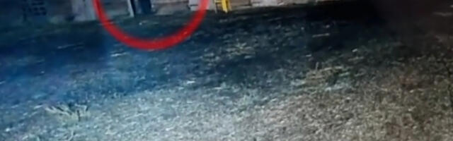 SIPAO KONJIMA KISELINU U USTA! Monstruma snimila sigurnosna kamera, nije mu prvi put (VIDEO)