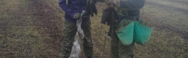 Al Dahra Srbija pokreće trogodišnji program pošumljavanja