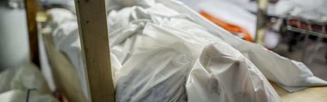 KUPUJU 100.000 MRTAVČKIH KESA, ODJEKUJE VAPAJ LEKARA: Osećamo se KAO OVCE PRED KLANJE