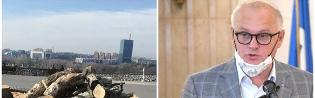 Vesiću, ko će da nadoknadi posečena stabla?! (FOTO)