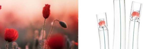 Miris dana: Flower by Kenzo EDT - KENZO