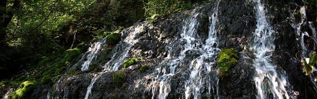 Ladjevac - hot spring in the heart of Mt. Tara: Locals believe that this water is healing