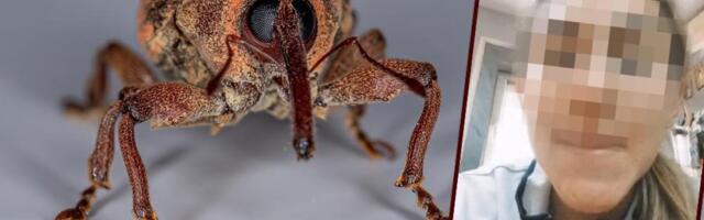 Željana pojede 75 buba dnevno jer veruje da joj pomažu u lečenju multipla skleroze: Koriste ih i oboleli od raka, stručnjaci u šoku!