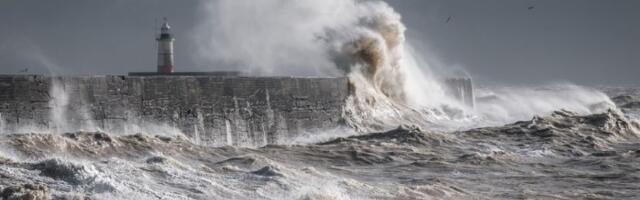 Majka branila bebu životom  - svoje telo postavila kao ŠTIT, fotografije obišle ceo svet (FOTO)
