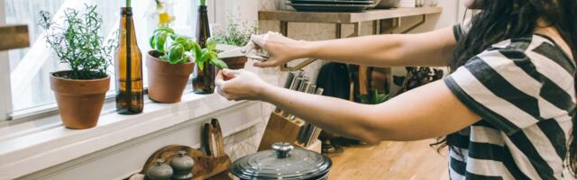 Gastroenterološkinja otkriva kako da za 1.990 dinara nahranite porodicu obrocima koji čuvaju zdravlje vaših