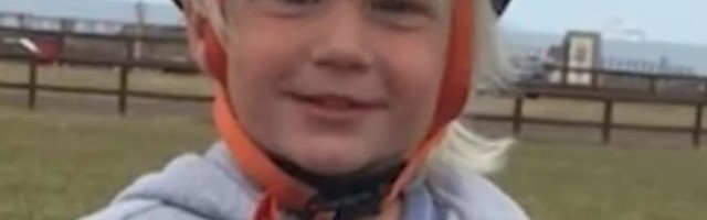 Došli mali Ivica i deca iz ulice kod Ivičinog dede...