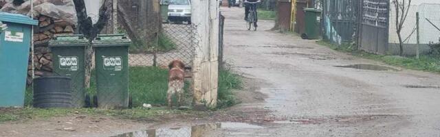 Biciklista zadobio povrede u sudaru sa „puntom“ u leskovačkom naselju Rade Žunić