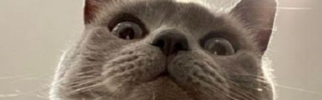 Vlasnik zaboravio da zaključa telefon, i sada svi dele njegove fotke (FOTO)