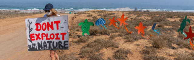 Највећа студија о рударењу у океанима: машине бришу трећину живота на морском дну