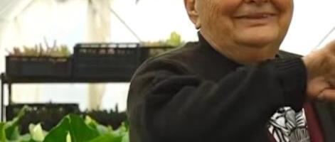 KOMŠIJE NE VERUJU ŠTA PENZIONERKA LJILJA GAJI U PLASTENIKU Izljubi ih, priča im i tepa kao deci: Lepotani moji! Ozbiljan biznis za sve koji ne vole da rade leti