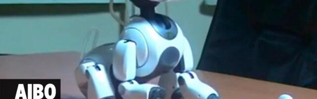 PC Press video: AIBO – neposlušni robot