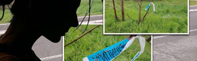 Određen pritvor osumnjičenom zbog pokušaja ubistva na Savskom vencu: Katarinino stanje i dalje kritično!