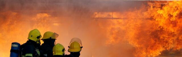 POŽAR U ZAGREBU: Nađeno telo u izgoreloj kući u grmlju
