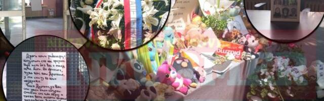 DOKTORKA VIŠE NIJE U TIMU KOJI RADE SA DECOM U RIBNIKARU! Oglasio se pomoćnik ministra prosvete - U prostoriji gde se odvijala seansa bio je i odeljenski starešina VII-2