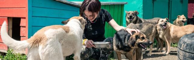 Ovi psi samo izgledaju zastrašujuće, a zapravo su prave MAZE (FOTO)