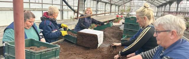 Dok vi spavate, oni stvaraju magiju: Marina ustaje u 6:30 da bi ovaj grad izgledao kao iz bajke