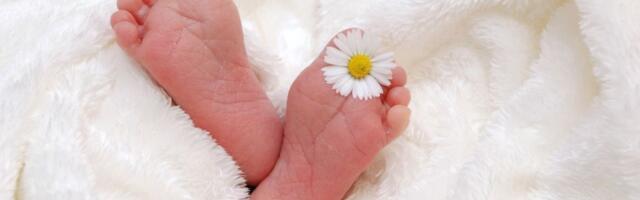 Lepe vesti iz Betanije za početak vikenda: Rođene 23 bebe