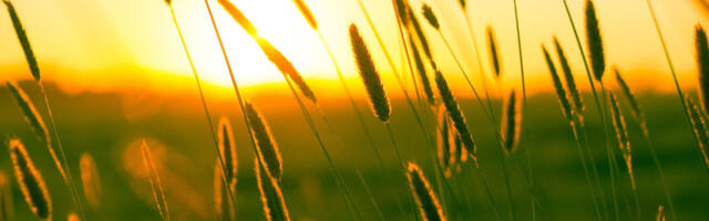 Posle jutarnjeg mraza lep i sunčan dan: Danas do 22 stepena