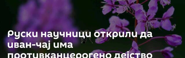 Руски научници открили да иван-чај има противканцерогено дејство