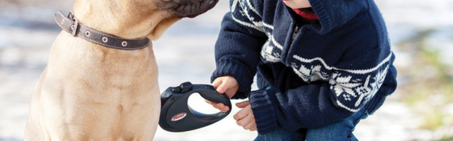 Zbrinite vaše ljubimce tokom ovih hladnih dana i snega