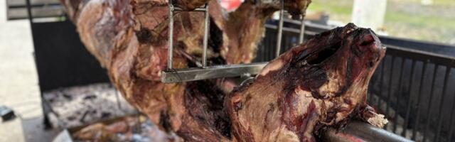 Sanja preuzela porodičnu tradiciju - iako saobraćajni inženjer, peče vola od 600 kg kao od šale