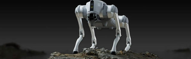 Drugačiji kućni ljubimci: Još jedan robot-pas