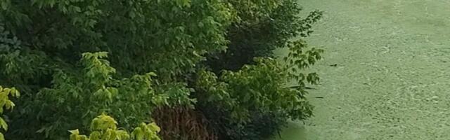 "Galovica više nije reka, postala je kanal za fekalije" (FOTO)